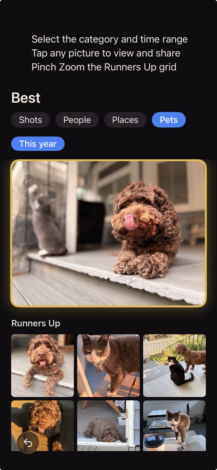 Best screen with a featured pet photo and Runners Up below