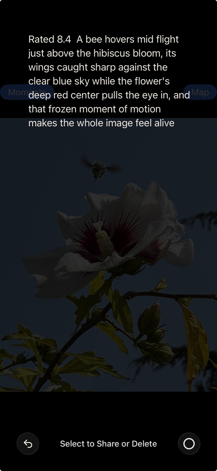 The same photo rated 8.4, with the AI's description of the bee, the bloom and the light